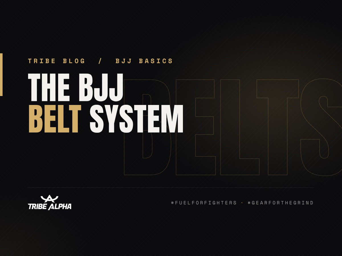 BJJ belt system cover: ranks, stripes and time at each belt