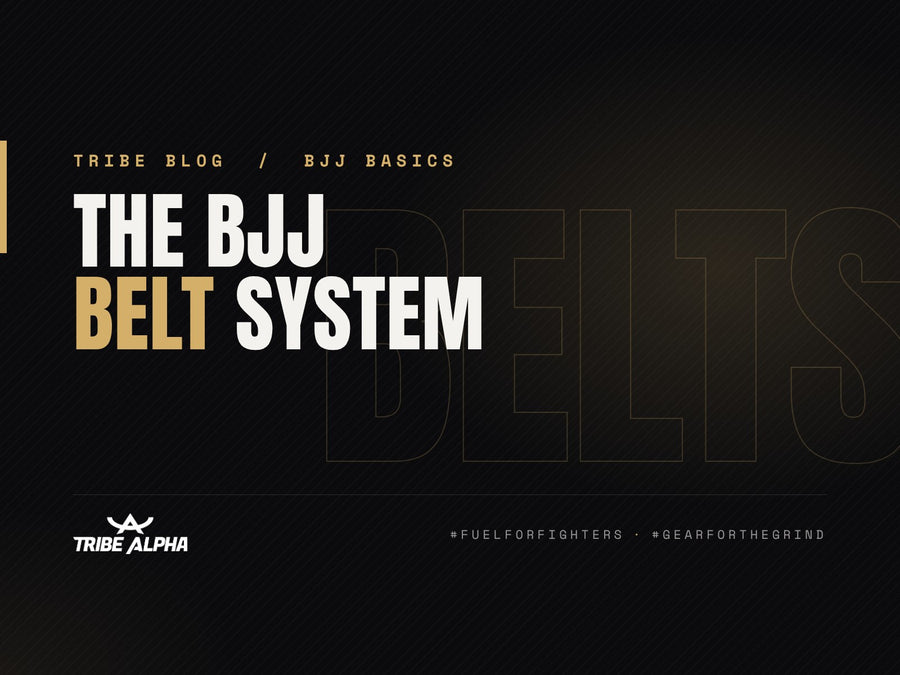 BJJ belt system cover: ranks, stripes and time at each belt