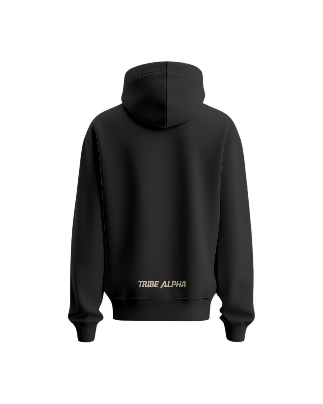 Hoodie 10th Planet Wrestling OG (unisex)